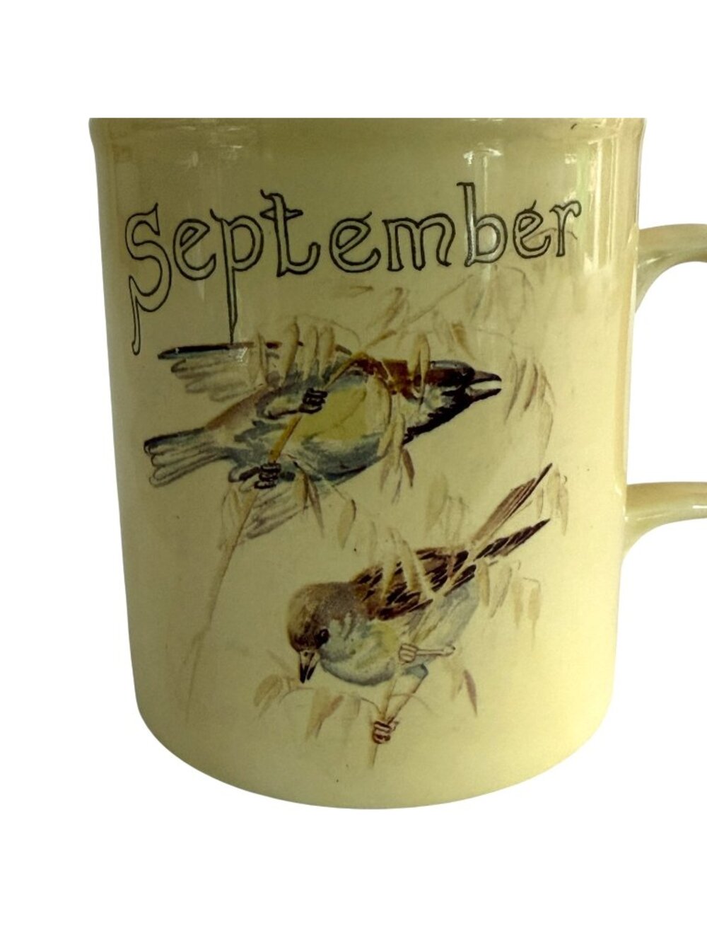 1977 The Country Diary Of An Edwardian Lady September Coffee Mug Bird England - Picture 2 of 8
